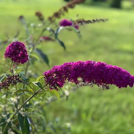 Apartment Am Eiskeller Ankershagen